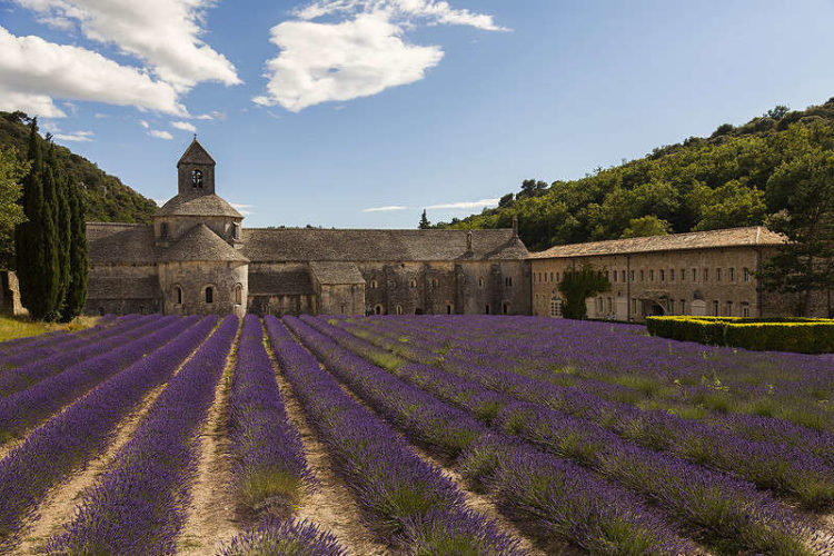 L'abbaye de Sénanque, lieu connu en Vaucluse