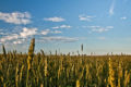 L'agronomie en France