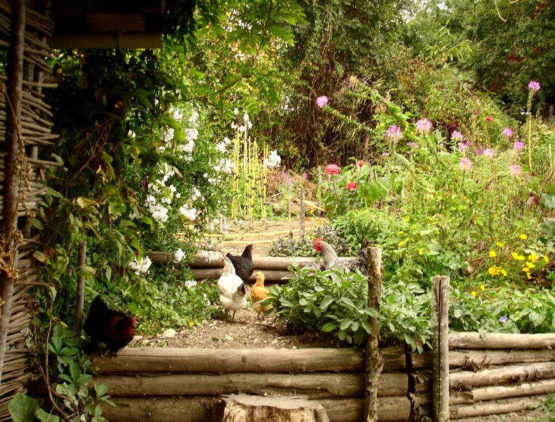 Un jardin en permaculture
