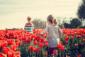 Bienfaits des jardins